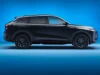 Black-on-black ist zurück, laut chinesischem Autounternehmen Omoda